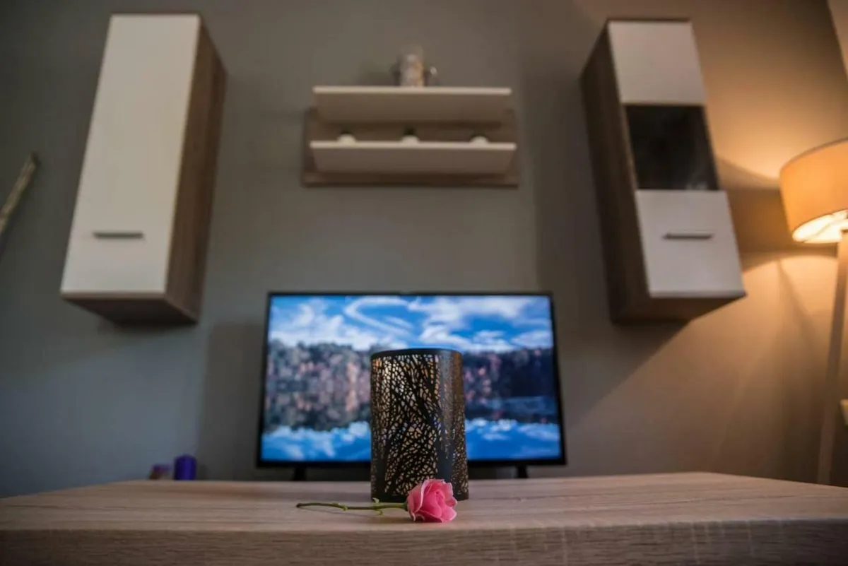 Ivi's House – photo 5