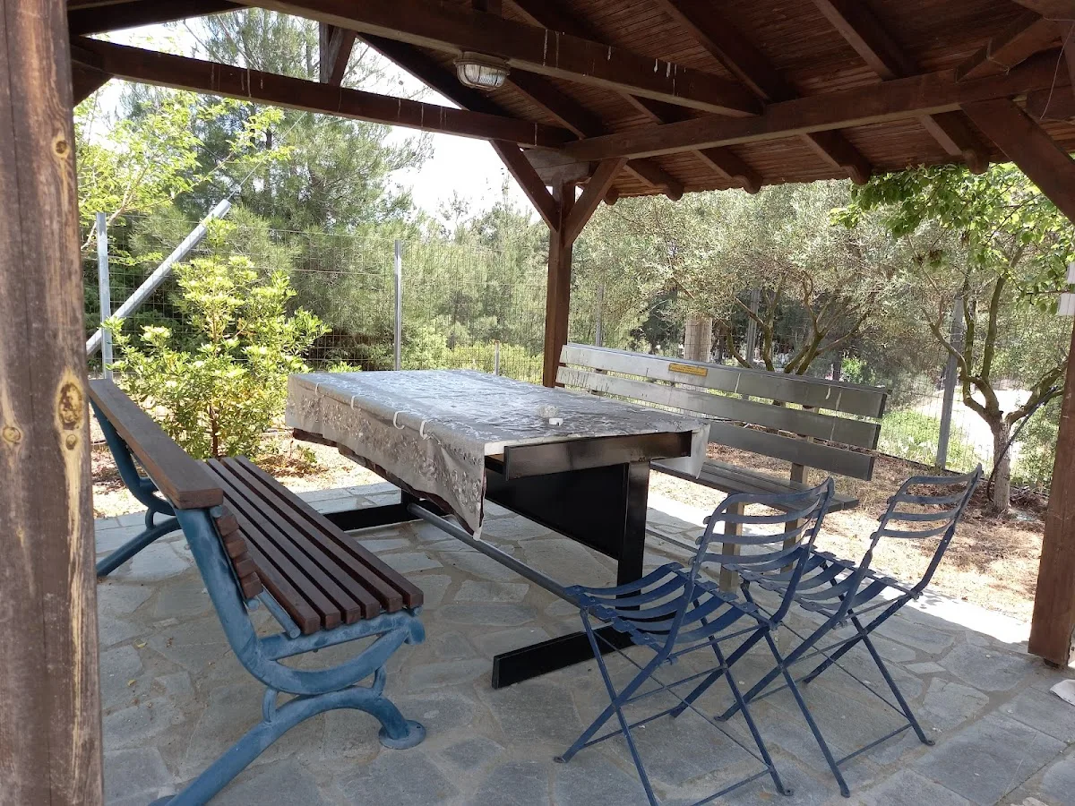 Mountain & Sea View Vila – photo 10