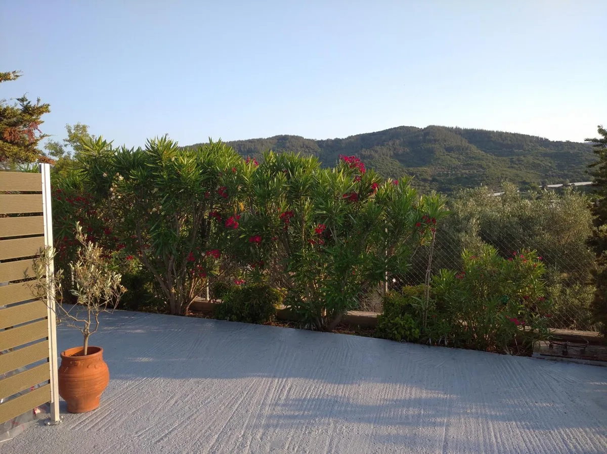 Oasis Apartments – photo 5