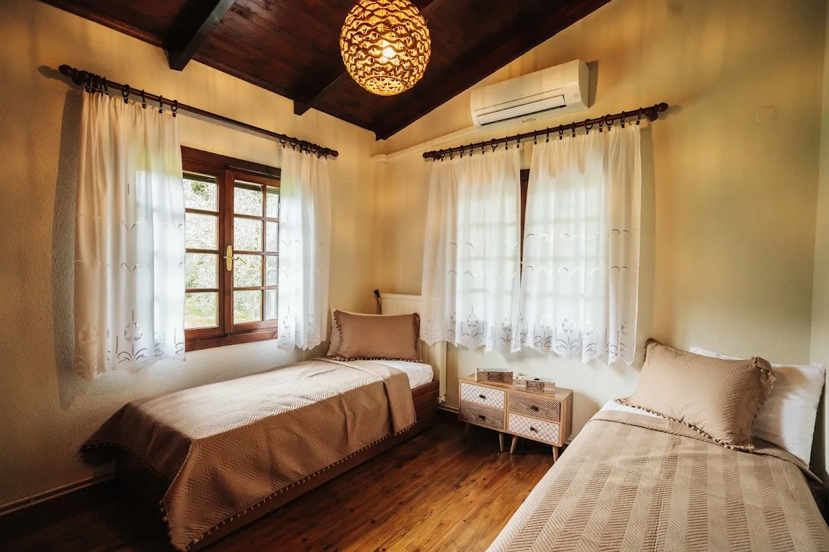 The Tree House – photo 3