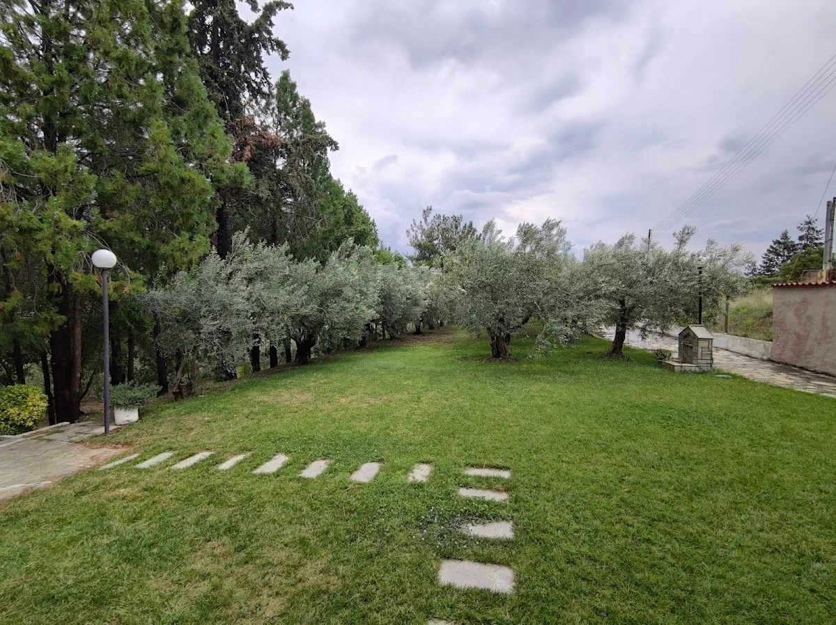 The Tree House – photo 6