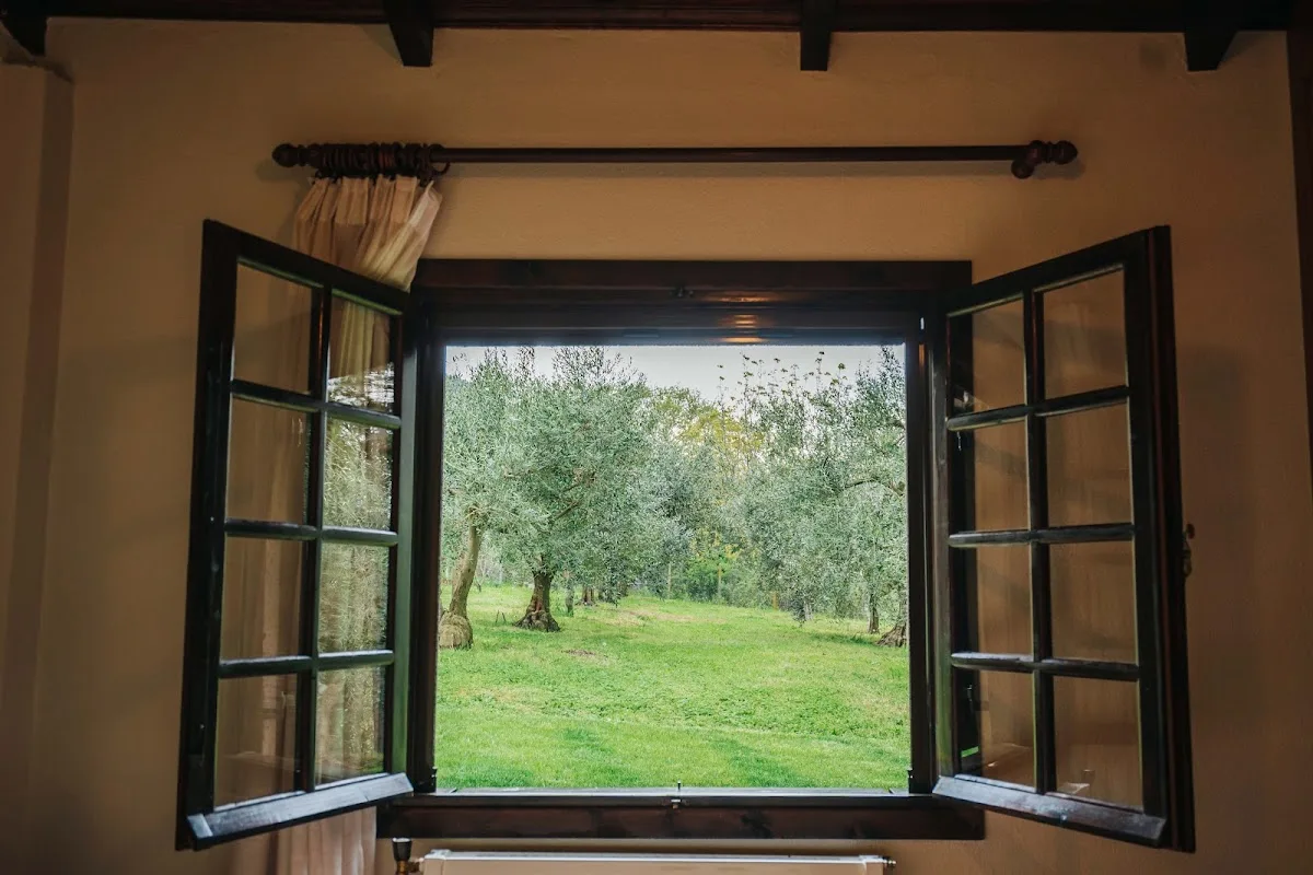 The Tree House – photo 8