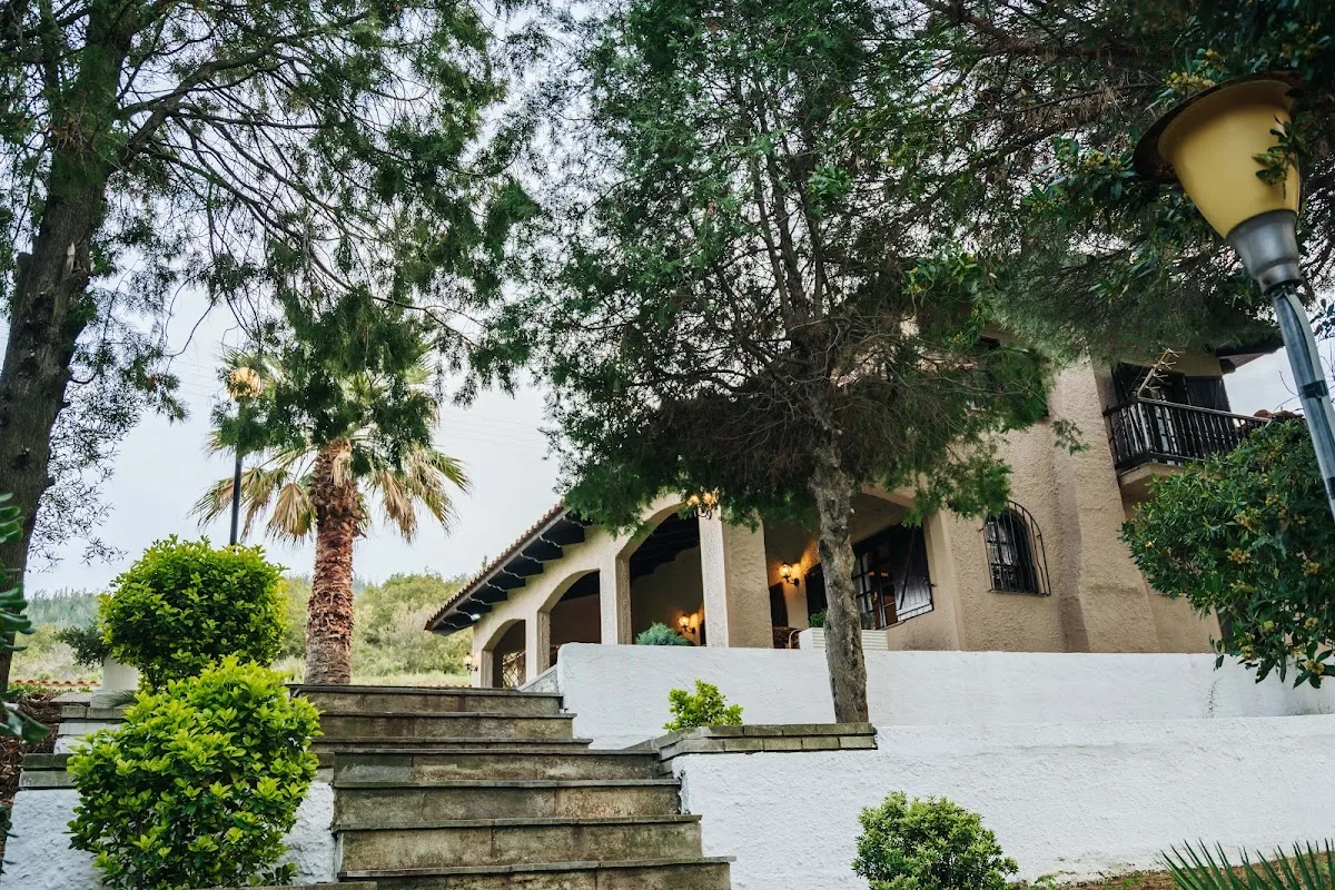 The Tree House – photo 9